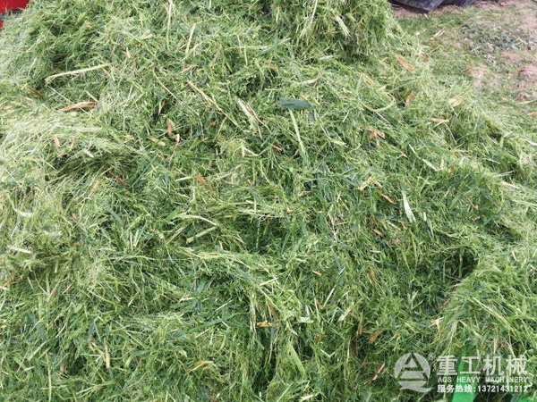 粉碎后的秸秆 粉碎后的秸秆